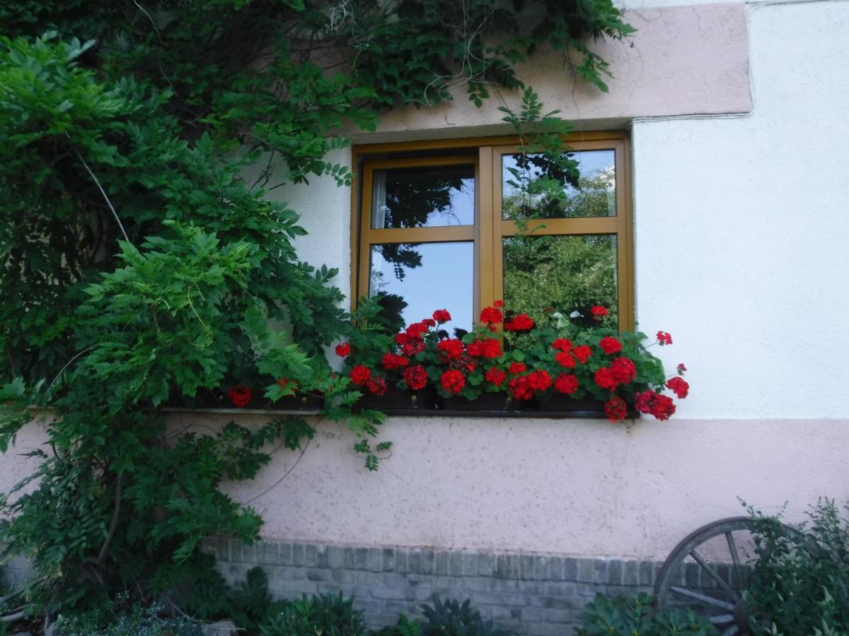 Farma Zahradnice Olbramovice  Exterior photo